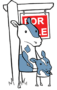 vaca de dibujos animados para padres e hijos frente a un letrero de venta