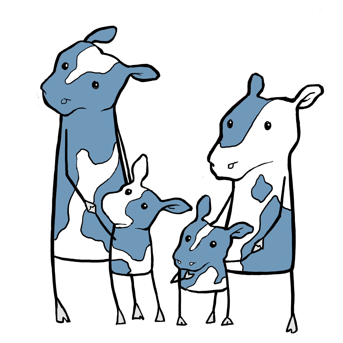 a family of four cartoon cows