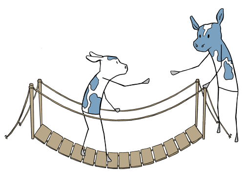 cartoon cow reaching out to help another cow crossing a rope bridge