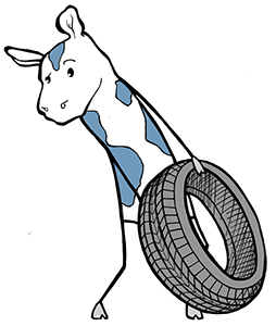 cartoon cow holding a spare tire