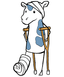 cartoon cow with crutches and a leg cast