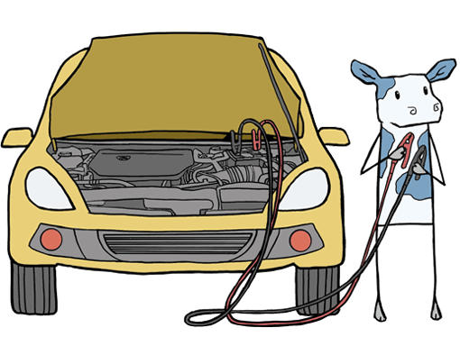 cartoon cow jumpstarting a broken down car